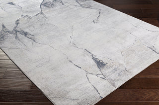 Livabliss Norland NLD-2311 Area Rug