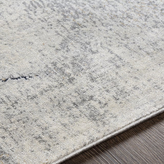 Livabliss Norland NLD-2311 Area Rug