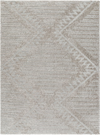 Surya Nomadic NMC-2300 Area Rug main image