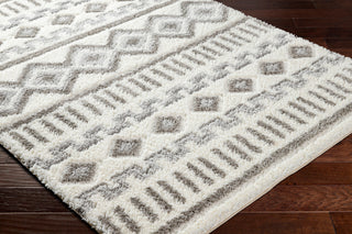 Surya Nomadic NMC-2302 Area Rug Corner Shot