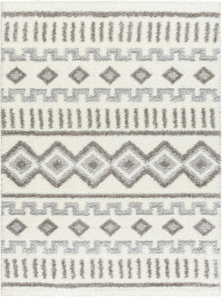 Surya Nomadic NMC-2302 Area Rug main image