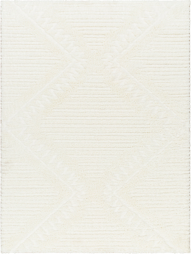 Surya Nomadic NMC-2304 Area Rug main image