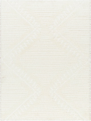 Surya Nomadic NMC-2304 Area Rug main image