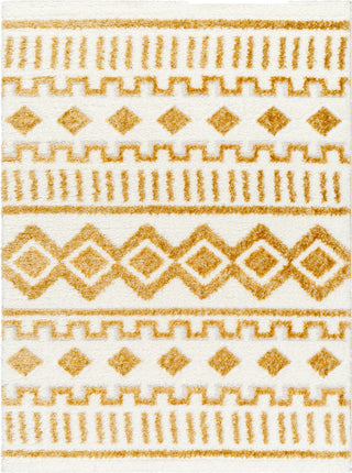 Surya Nomadic NMC-2308 Area Rug main image