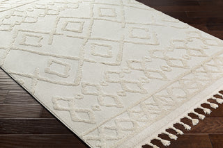Surya Nora NOA-2300 Area Rug Corner Shot