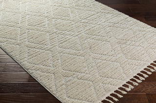Surya Nora NOA-2308 Area Rug Corner Shot