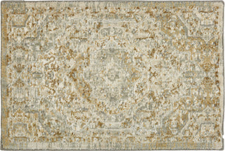 Karastan Touchstone Nore Willow Grey Area Rug Main Image