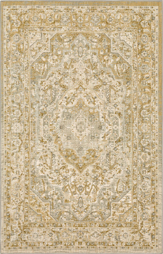 Karastan Touchstone Nore Willow Grey Area Rug Main Image