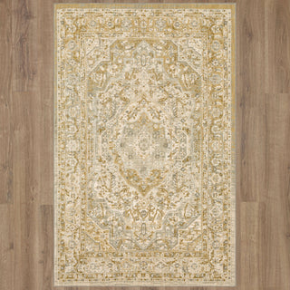 Karastan Touchstone Nore Willow Grey Area Rug Main Image