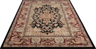 Nourison 2000 2005 Black Area Rug Room Image Feature