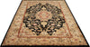 Nourison 2000 2028 Black Area Rug Main Image