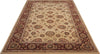 Nourison 2000 2204 Ivory Area Rug Main Image