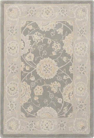 Nourison 2000 2204 Slate Area Rug