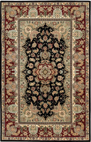 Nourison 2000 2005 Black Area Rug Main Image