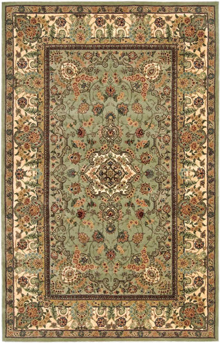 Nourison 2000 2005 Light Green Area Rug Main Image