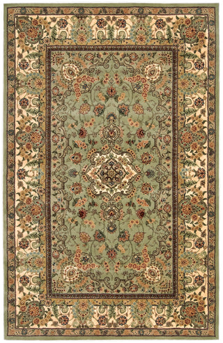 Nourison 2000 2005 Light Green Area Rug main image