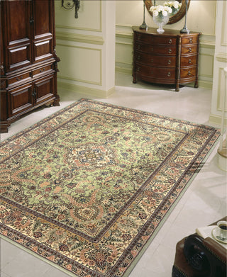 Nourison 2000 2005 Light Green Area Rug 8' X 10' Living Space Shot Feature