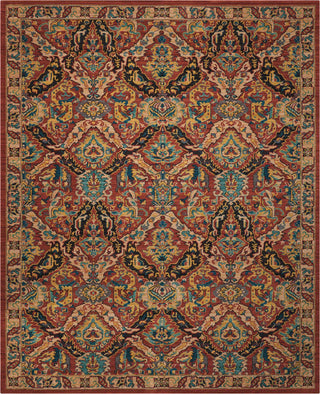 Nourison 2020 NR205 Terracotta Area Rug 8' X 11'