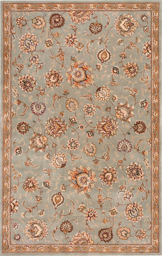 Nourison 2000 2360 Aqua Area Rug Main Image