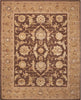 Nourison 3000 3101 Brown Area Rug Main Image