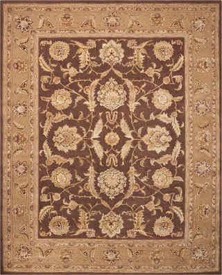 Nourison 3000 3101 Brown Area Rug Main Image