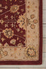 Nourison 3000 3102 Red Area Rug Runner Image
