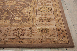 Nourison 3000 3102 Taupe Area Rug Detail Image