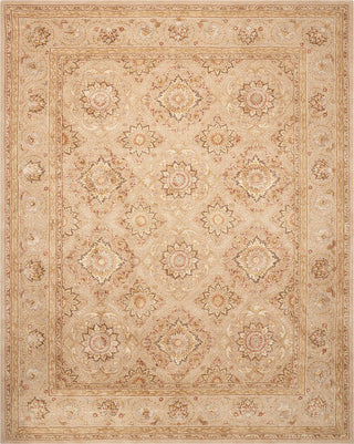 Nourison 3000 3108 Beige Area Rug Main Image