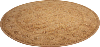 Nourison 3000 3108 Beige Area Rug Main Image