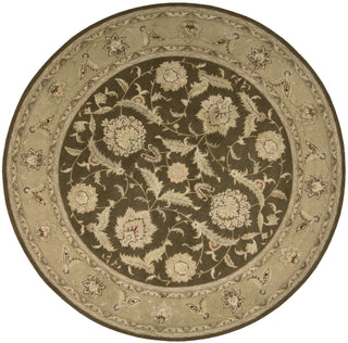 Nourison 3000 3101 Brown Area Rug main image