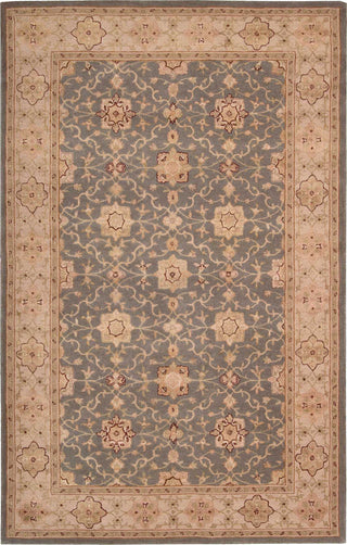 Nourison 3000 3103 Aqua Area Rug Main Image