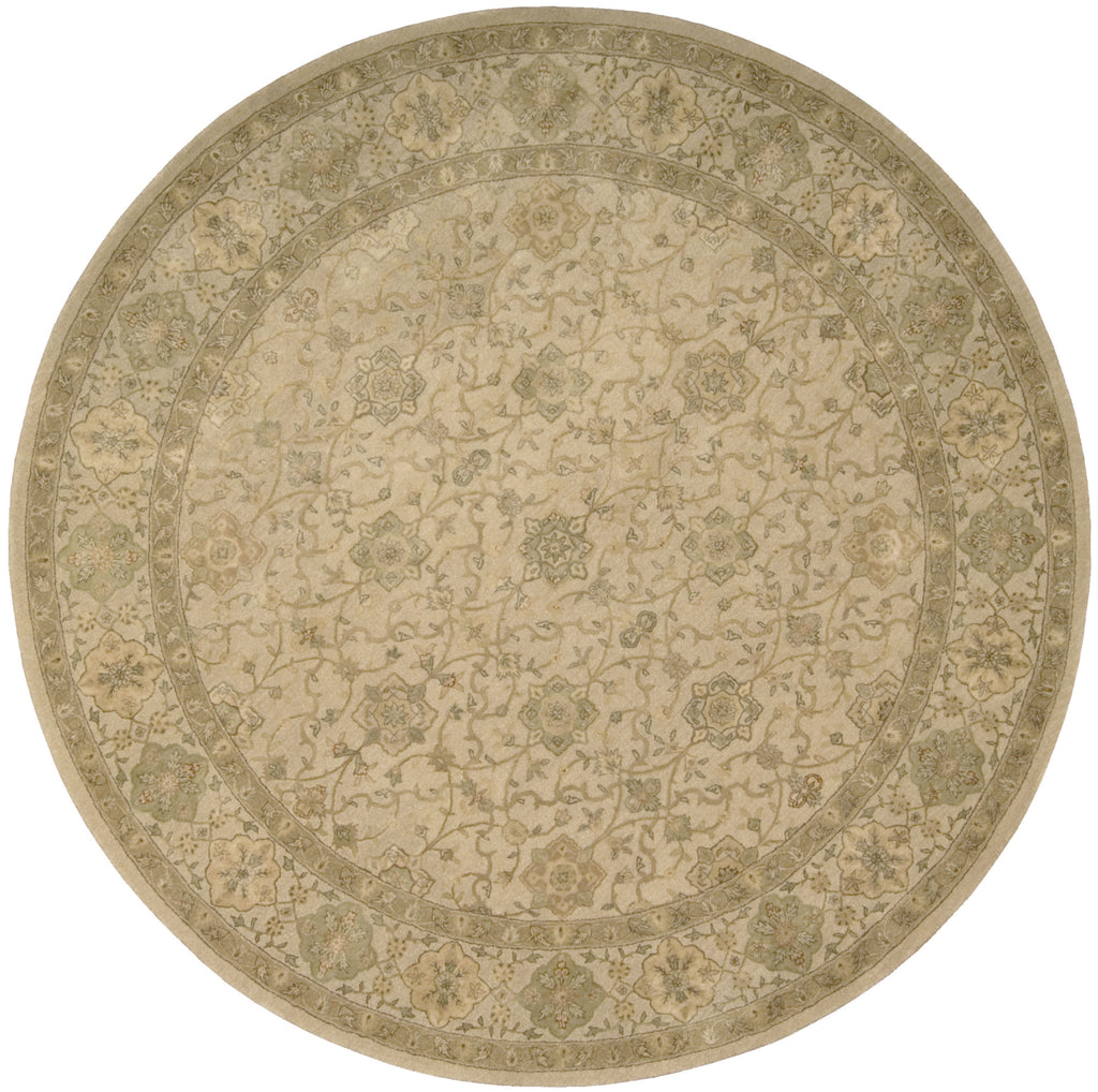 Nourison 3000 3103 Beige Area Rug main image