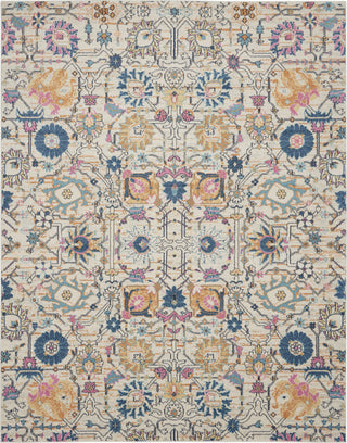 Nourison Passion PSN01 Ivory/Multi Area Rug