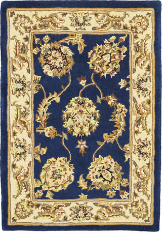 2000 2022 Navy Area Rug by Nourison main image