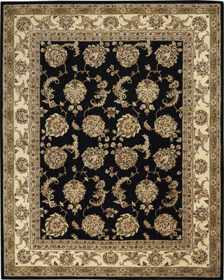 Nourison 2000 2022 Black Area Rug main image