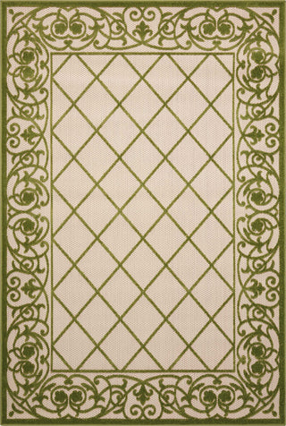 Nourison Aloha ALH16 Green Area Rug main image