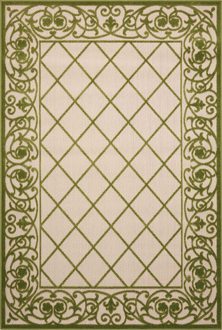 Nourison Aloha ALH16 Green Area Rug