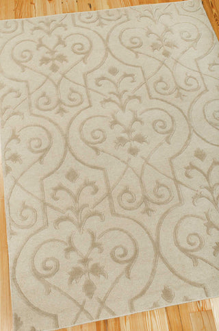 Nourison Ambrose AMB02 Sand Area Rug Main Image