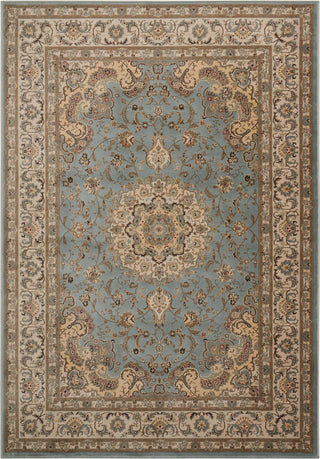 Nourison Ararat ARA02 Light Blue Area Rug Main Image Feature