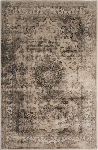 Nourison Ararat ARA06 Smoke Area Rug main image