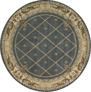 Nourison Ashton House AS03 Blue Area Rug Round Image