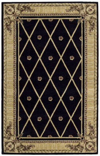 Nourison Ashton House AS03 Black Area Rug 4' X 6'