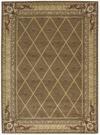 Nourison Ashton House AS03 Cocoa Area Rug main image