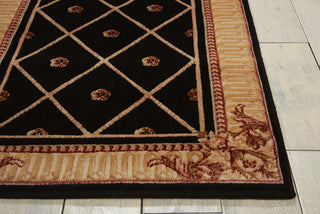 Nourison Ashton House AS03 Black Area Rug Detail Image