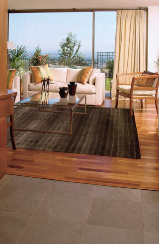 Nourison Aura AUR01 Chocolate Area Rug Room Image Feature