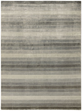 Nourison Aura AUR01 Silver Shadow Area Rug main image