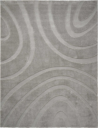 Nourison Austin ASTN1 Silver Area Rug main image