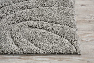 Nourison Austin ASTN1 Silver Area Rug Detail Image