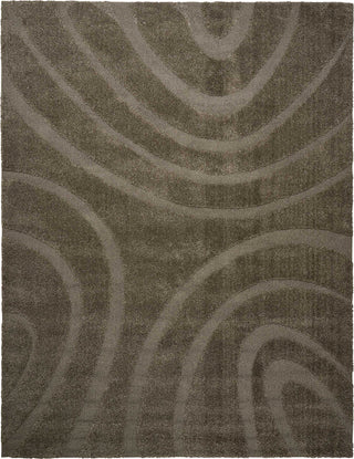 Nourison Austin ASTN1 Stone Area Rug main image