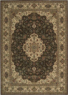 Nourison Persian Arts BD02 Chocolate Area Rug main image